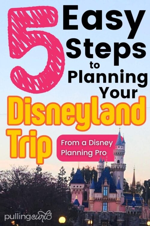 the Disneyland Castle // 5 easy steps to planning your Disneyland Tip