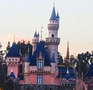 the Disneyland Castle